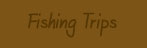 Fishing trips